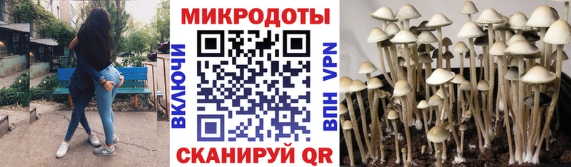 кракен сайт Покровск Галлюциногенные грибы мухоморы даркнет сайт